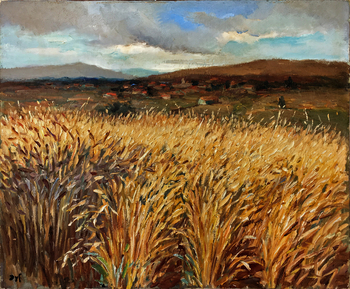 DYF - Wheat Fields of Provence - Oil on Canvas - 25 x 29