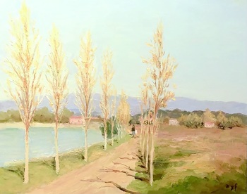 DYF - Plain Trees of Provence - Oil on Canvas - 18 x 21.5
