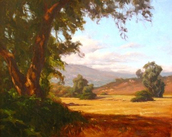JORDAN - MELLEX FIELD OAK - Oil on Canvas - 24 x 30