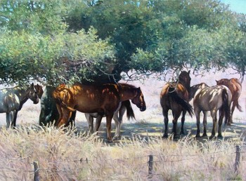  Title: HORSES , Size: 30 x 40 , Medium: Oil on Canvas